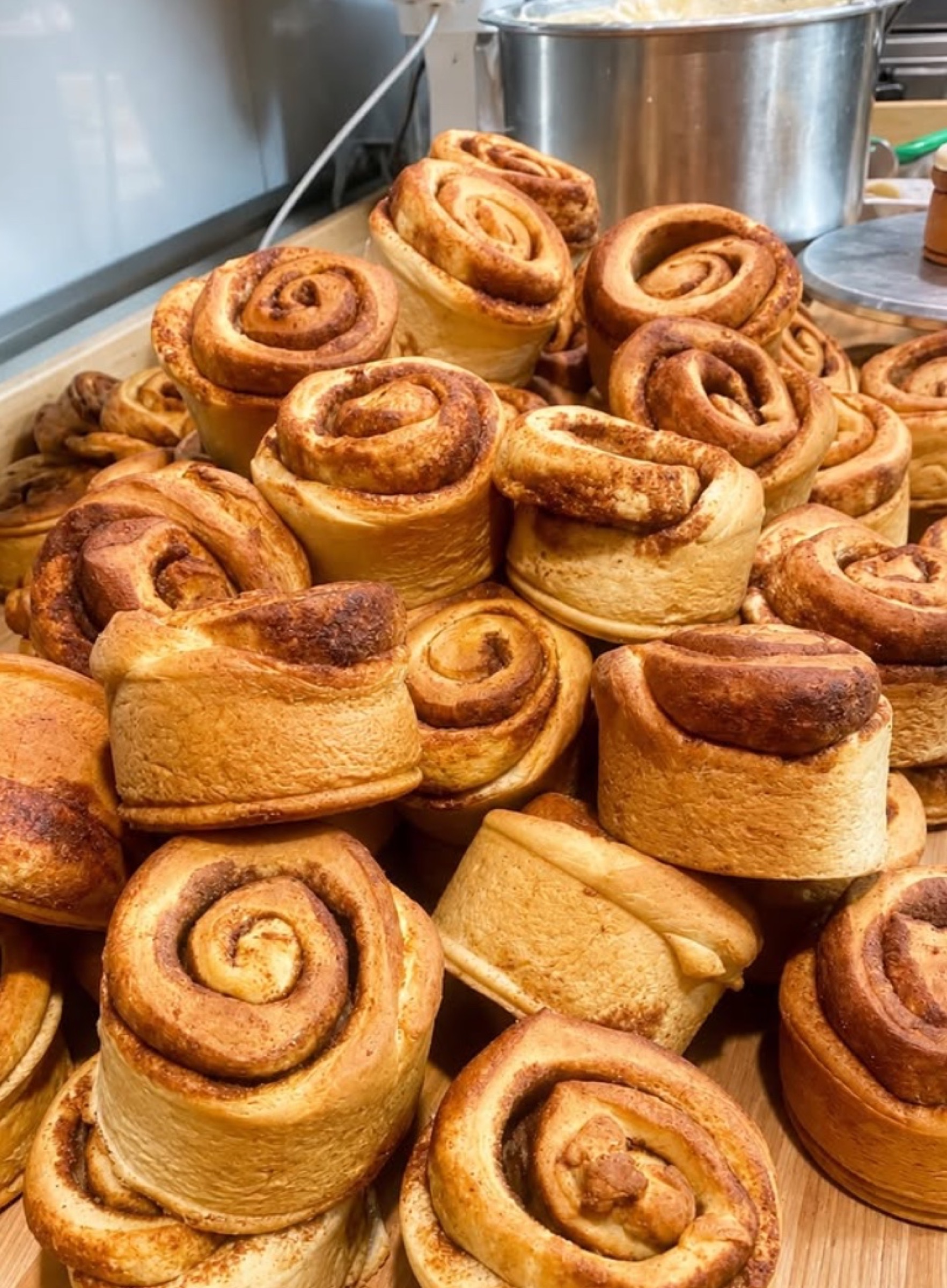 A tray full of fresh-baked cinnamon rolls